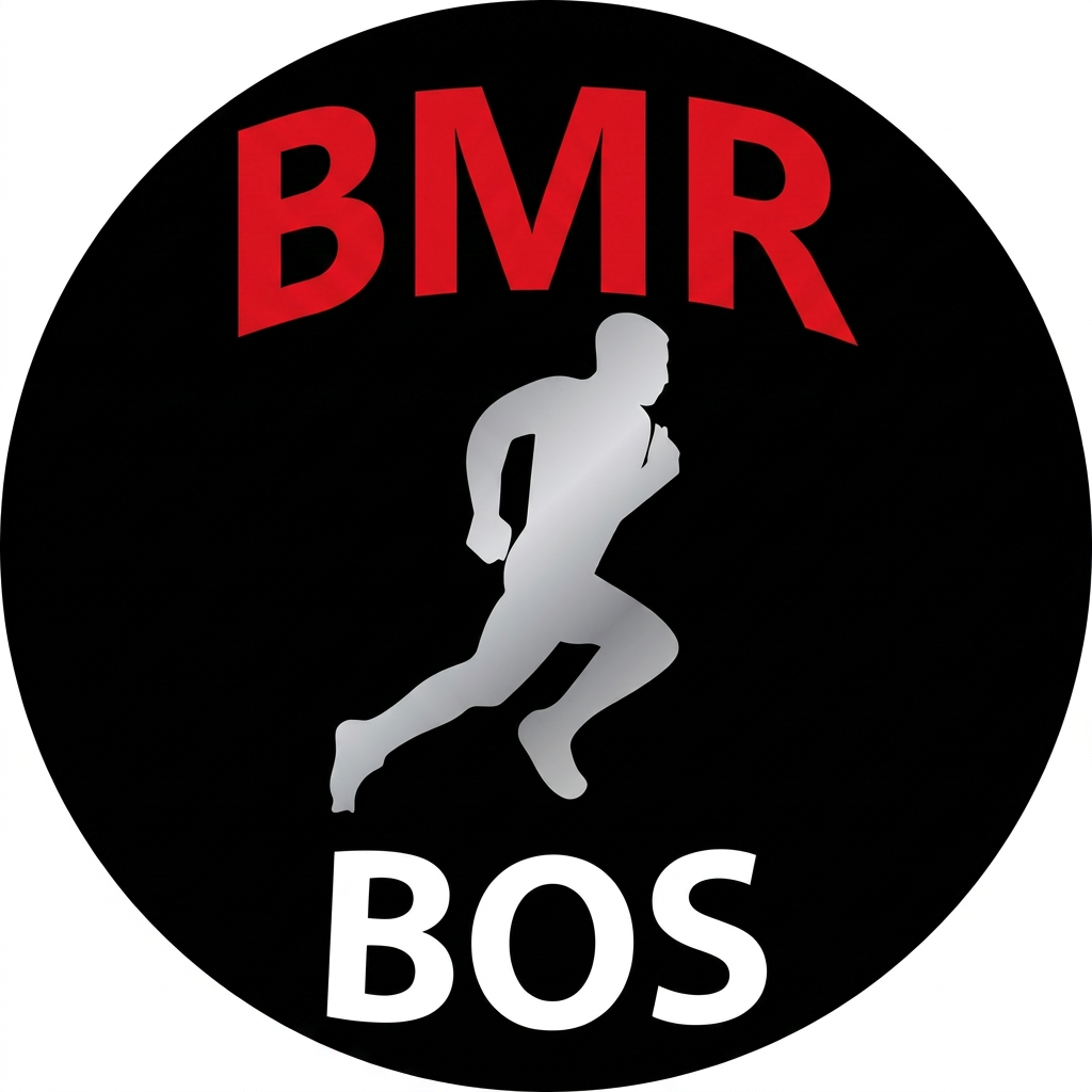 BMR BOS challenge coin, established —